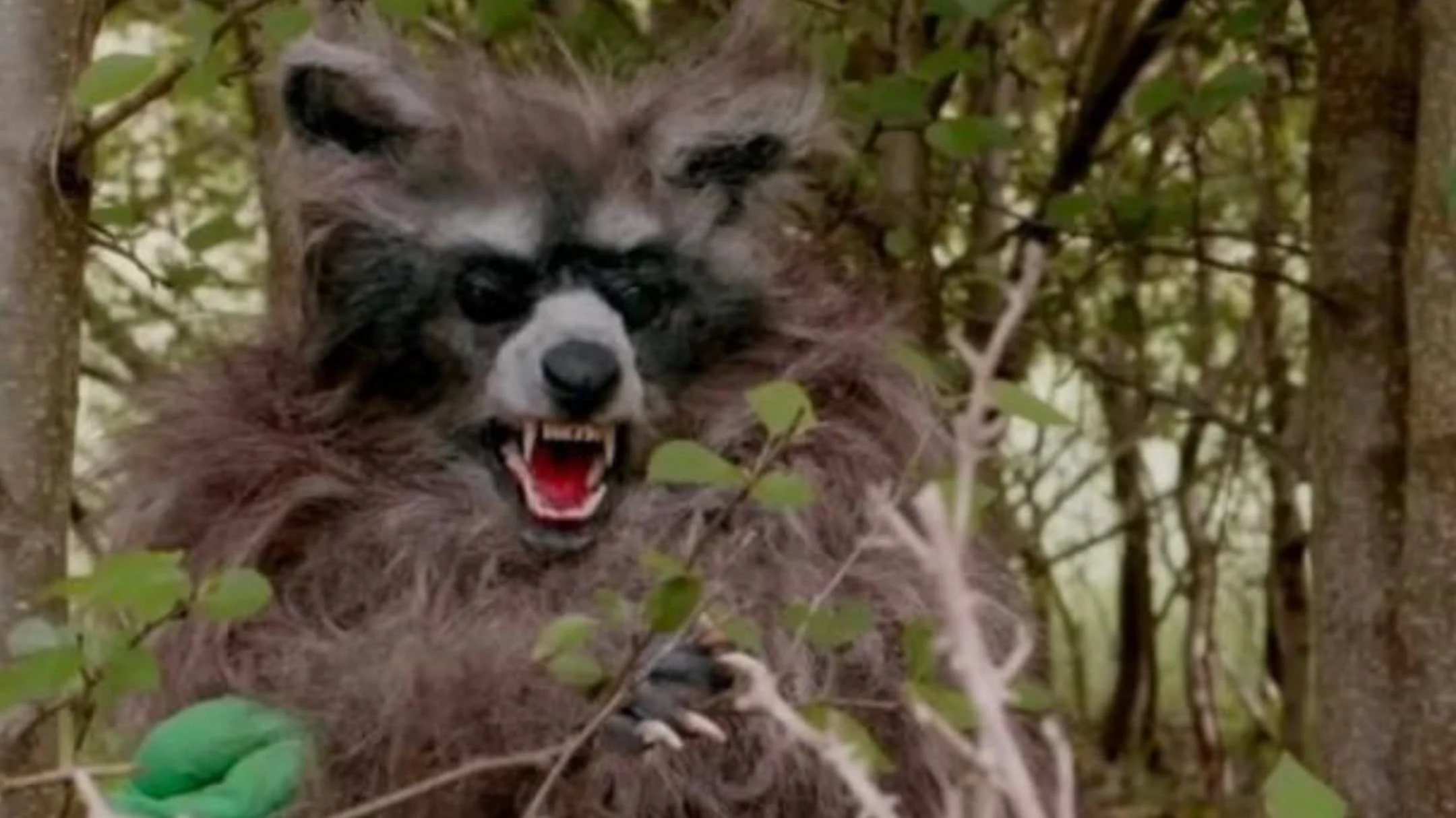 Gấu Trúc Điên Loạn Full